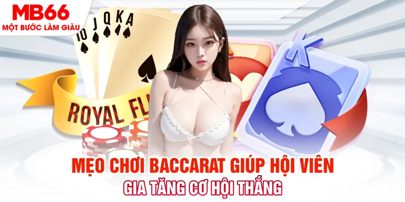 vin7774 đá gà 88