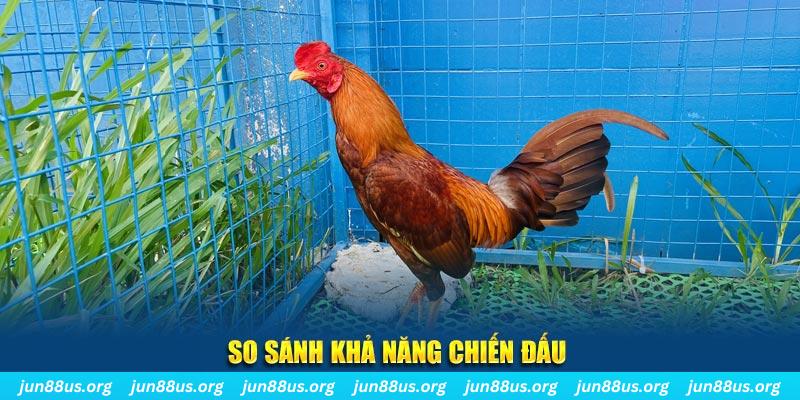 vin7774 xổ số tiền giang