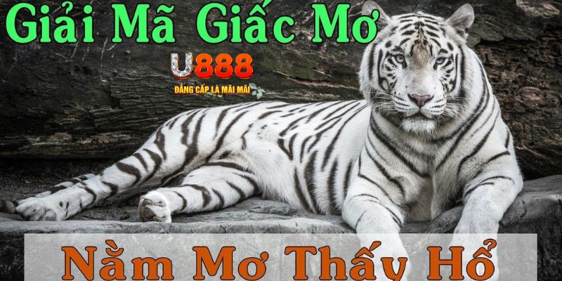 vin7774 xổ số kiến thiết miền bắc