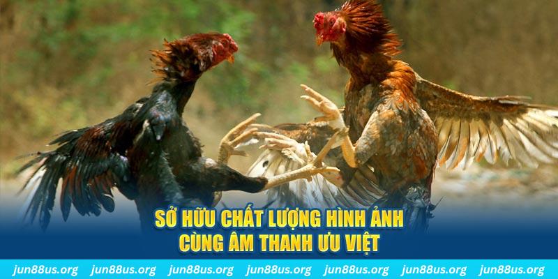 vin7774 tai game danh bai ve may tinh