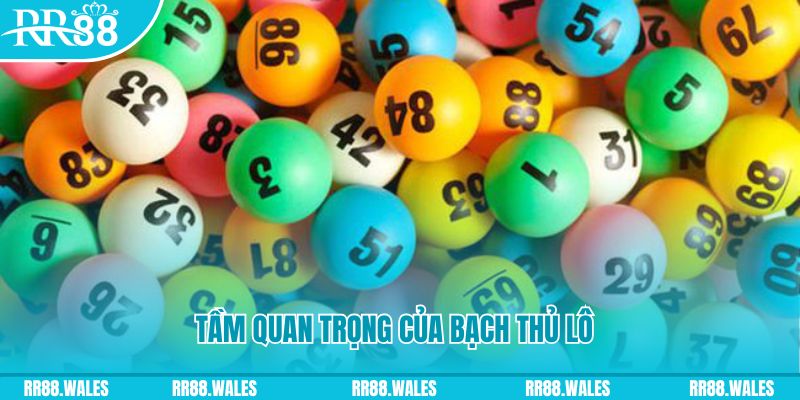 vin7774 đá gà trực tiếp casino