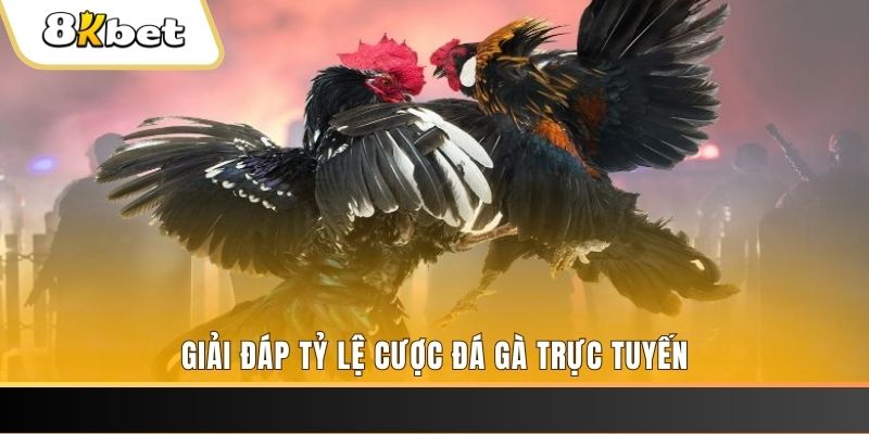 vin7774 xổ số ba đài