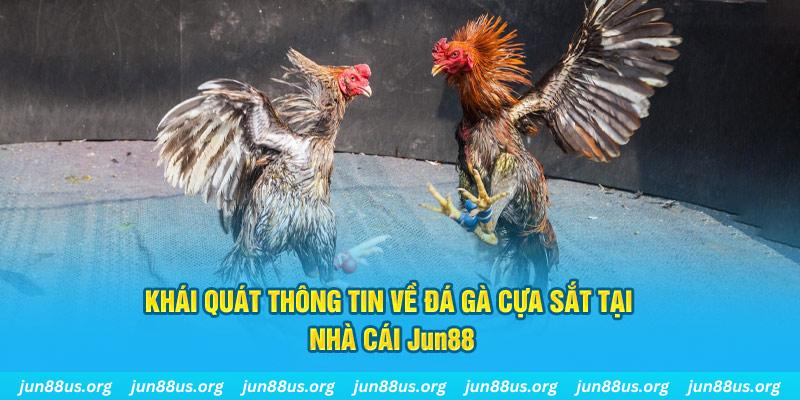 vin7774 game bài trên máy tính