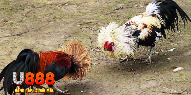 vin7774 game nổ hũ là gì