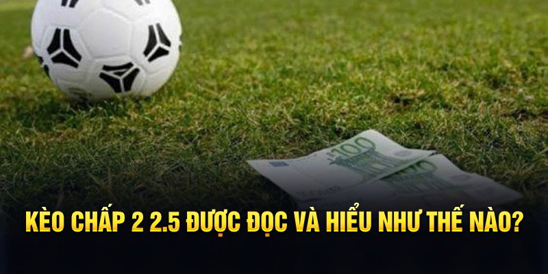 vin7774 đá gà thomo