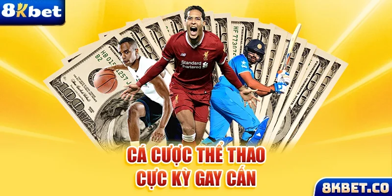 vin7774 Bữa tiệc dành cho thanh thiếu niên